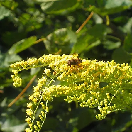 Sport-hotel šibeniční Vrch 3*