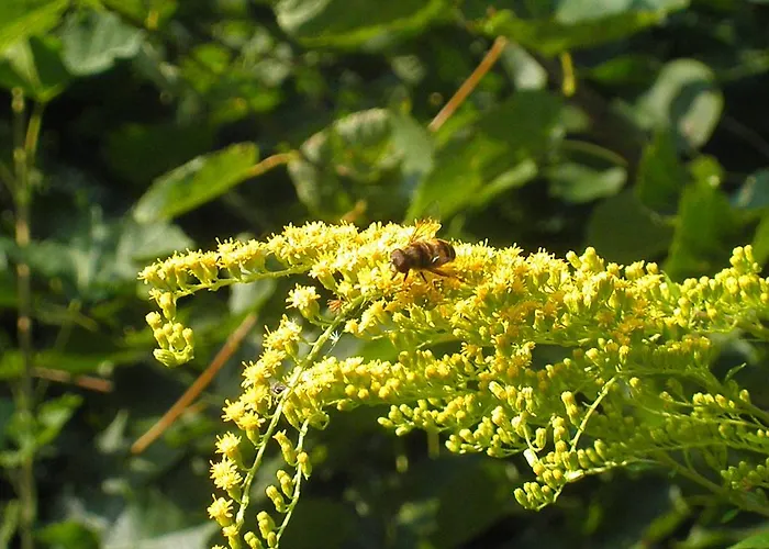 Sport-hotel Sibenicni Vrch 3*