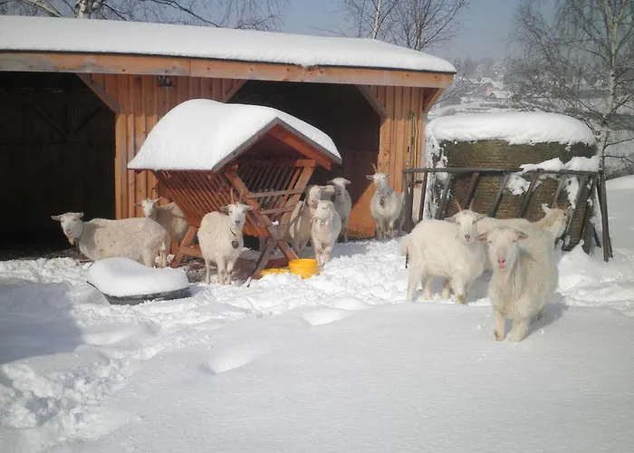 Sport-hotel Sibenicni Vrch Hotel Mnichovice